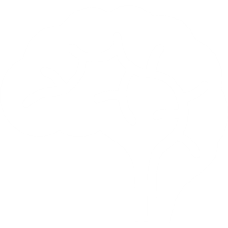 Brain-02